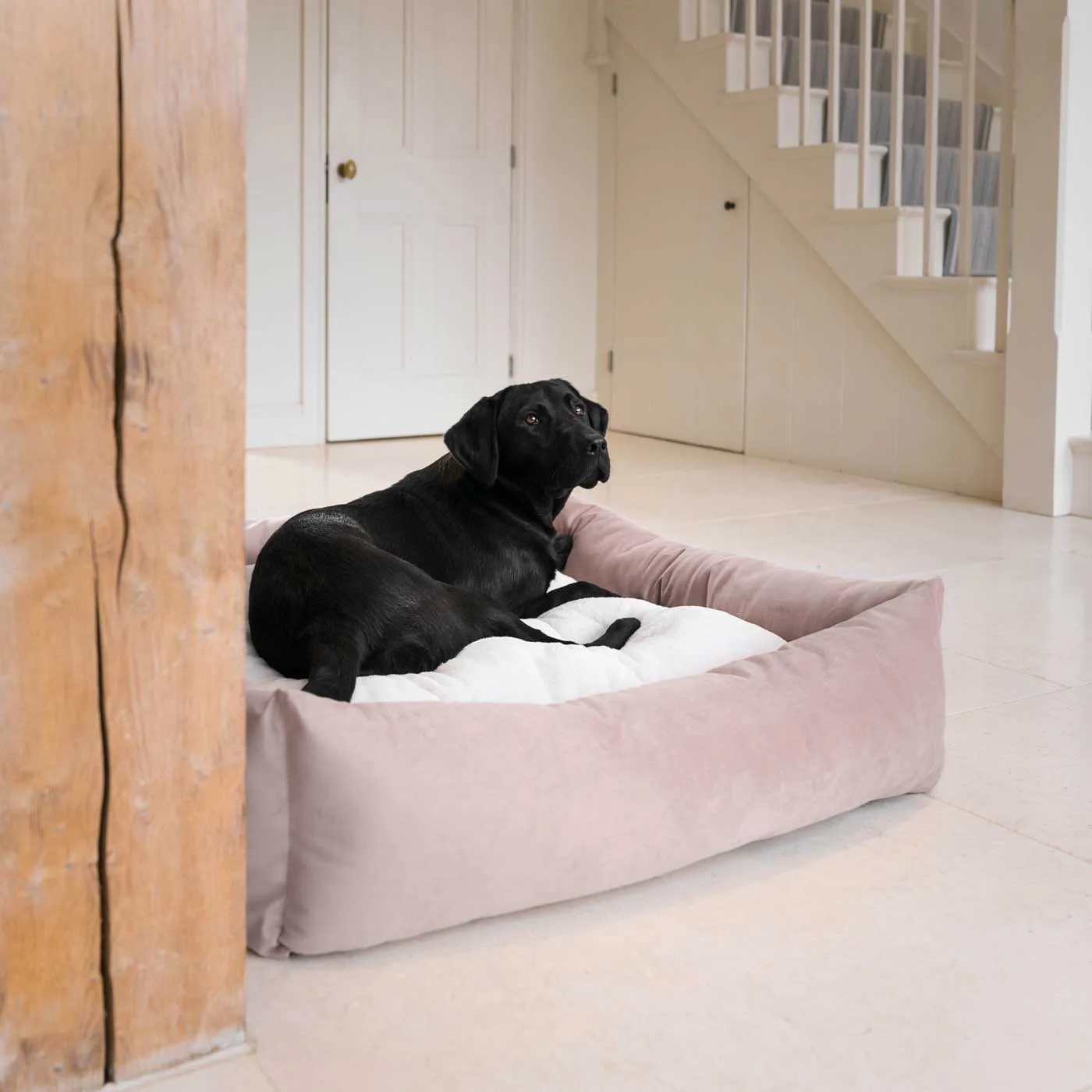 Box Bed With Removable Covers In Blossom Velvet by Lords & Labradors