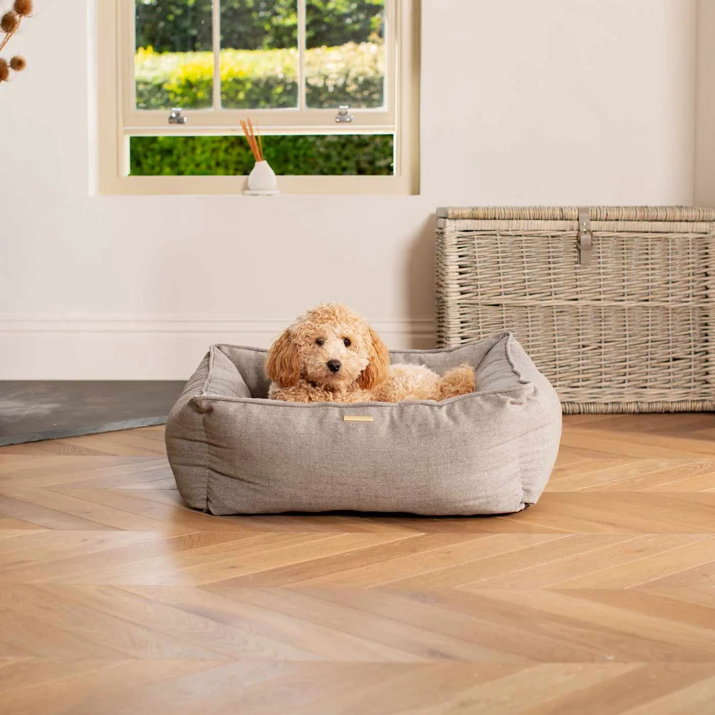 Box Bed With Removable Covers In Inchmurrin Ground by Lords & Labradors