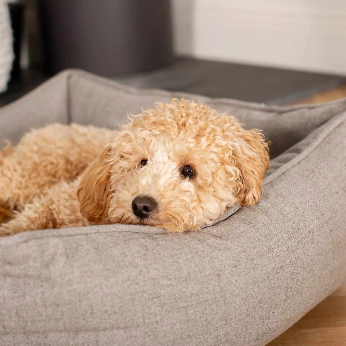 Box Bed With Removable Covers In Inchmurrin Ground by Lords & Labradors