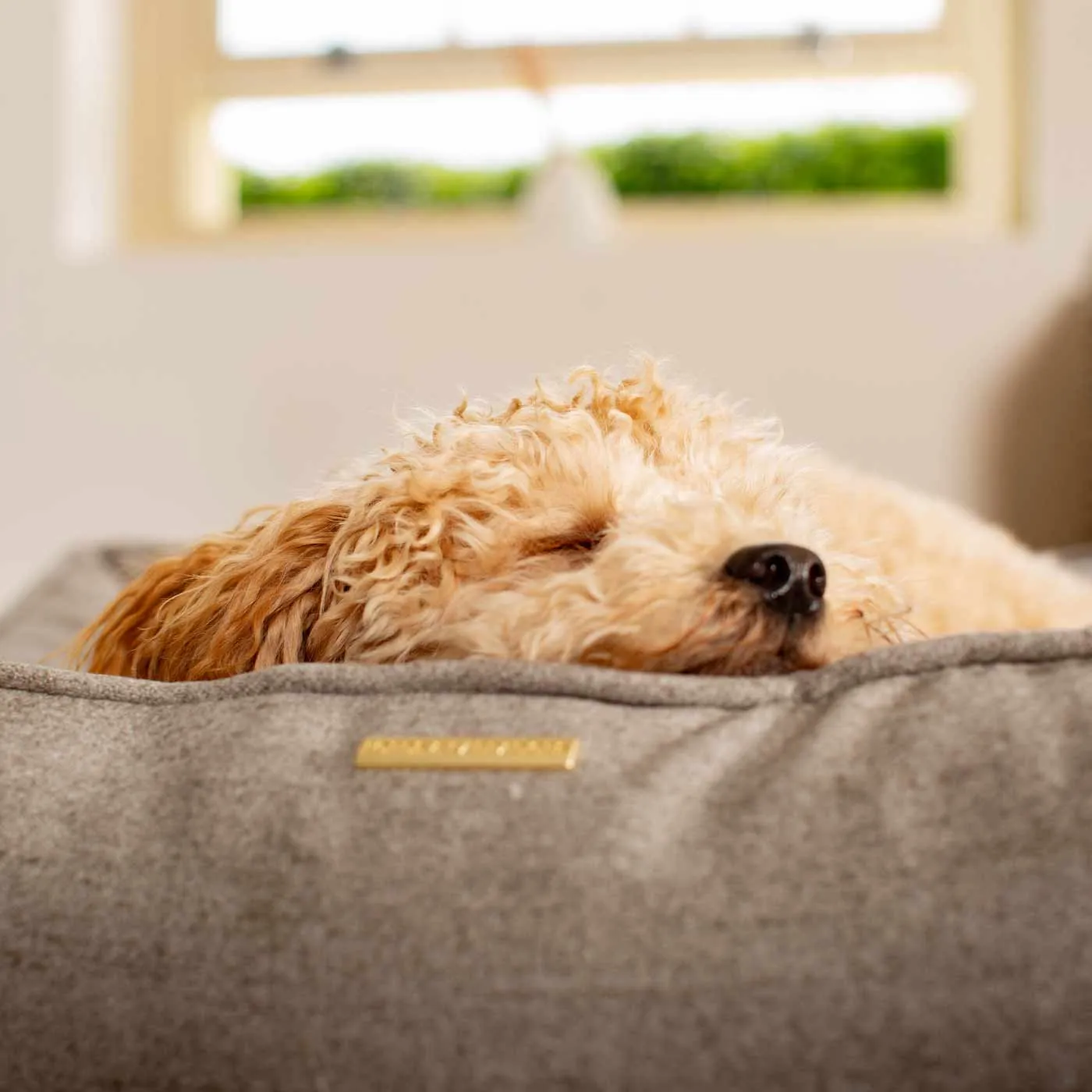 Box Bed With Removable Covers In Inchmurrin Ground by Lords & Labradors