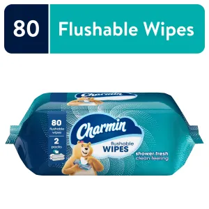 Charmin Flushable Wipes, 2 Flip-Top Packs, 40 Wipes per Pack, 80 Total Wipes