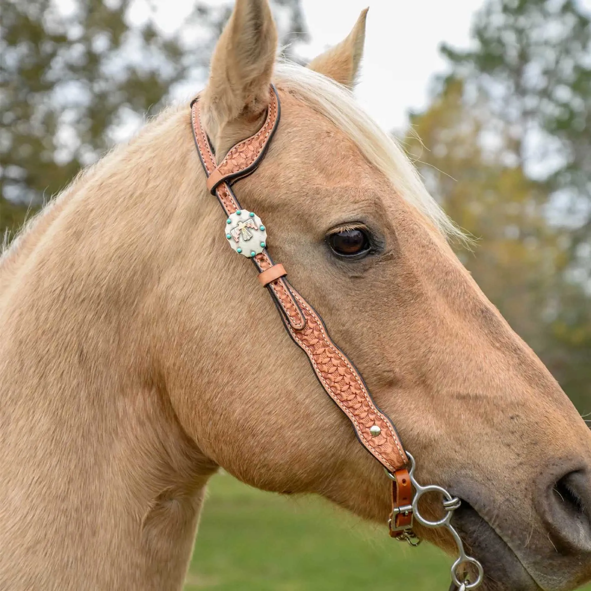 Circle Y Windsor One Ear Headstall, Full