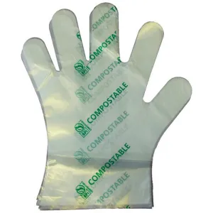 Compostable Food Service Preparation Gloves - Medium