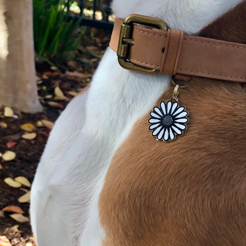 Daisy ID Tag (Custom)