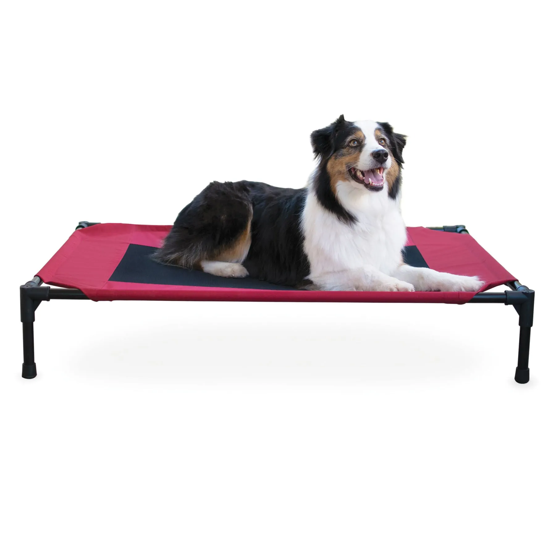 Elevated Dog Bed, Large