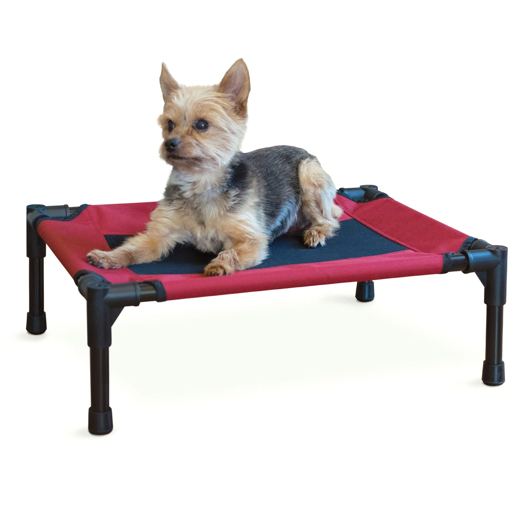 Elevated Dog Bed, Small