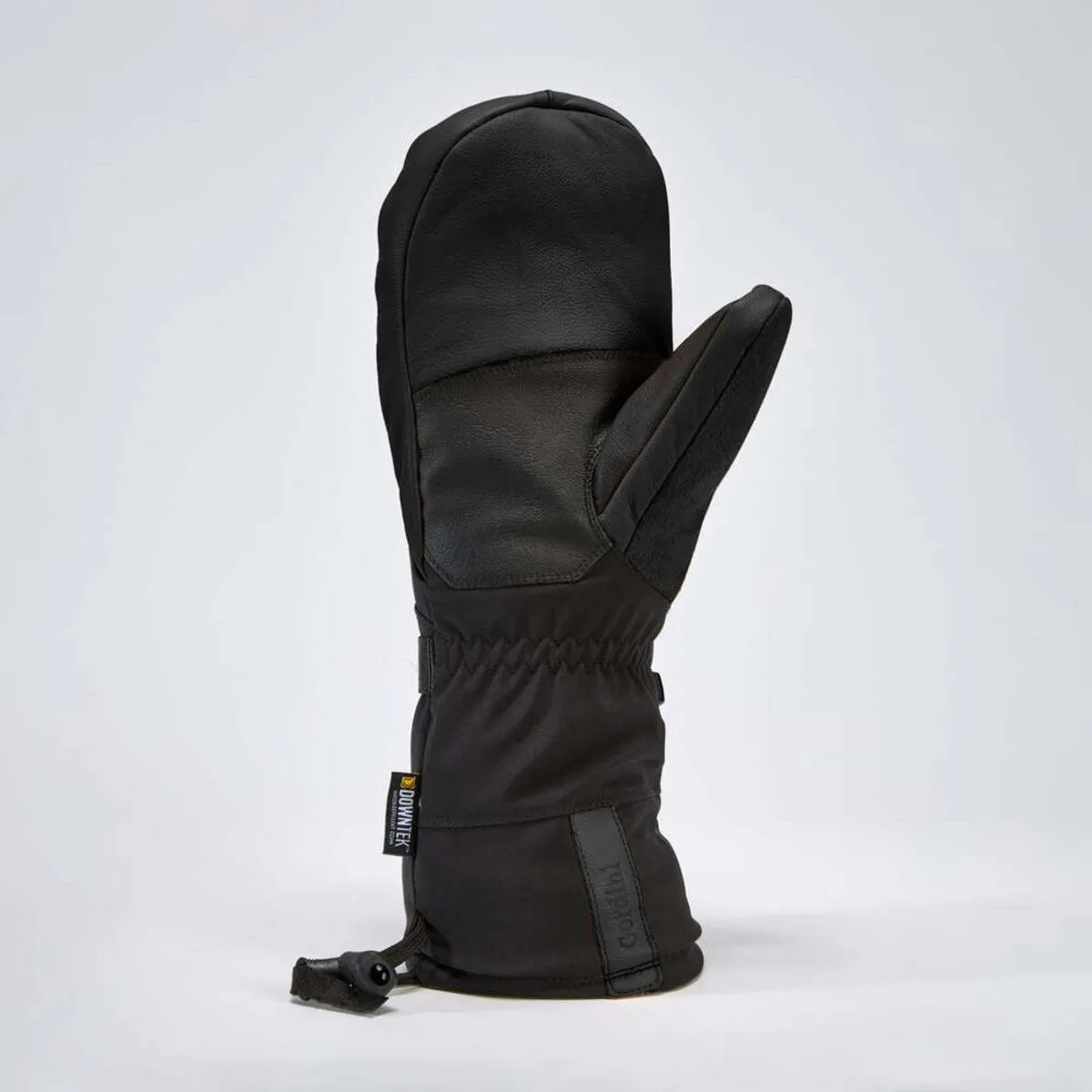 Gordini Men's Polar Mittens