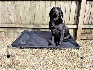 Heavy Duty Raised Dog Beds