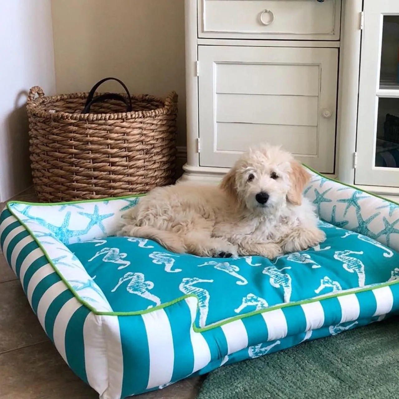 Ocean Front Drifter Dog Bed