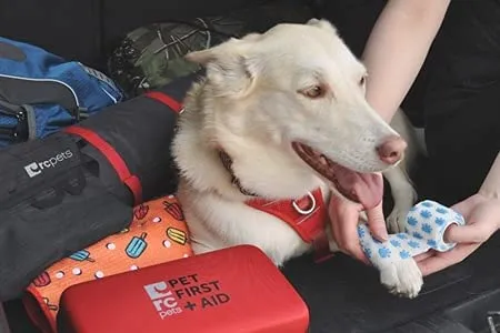 Pet First Aid Kit