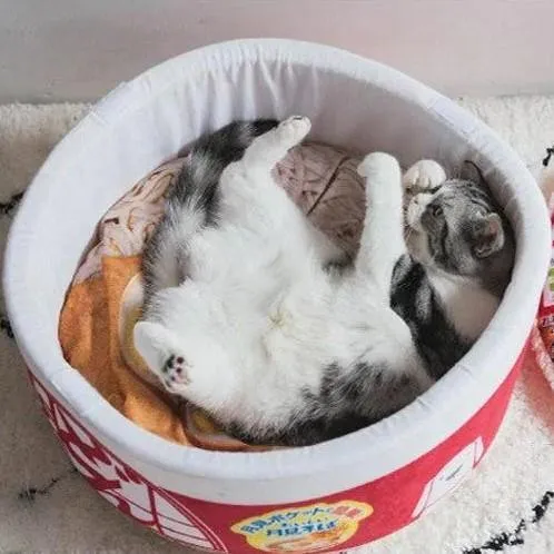 Ramen Noodles Pet Bed