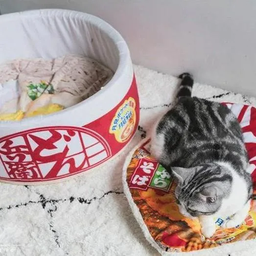 Ramen Noodles Pet Bed