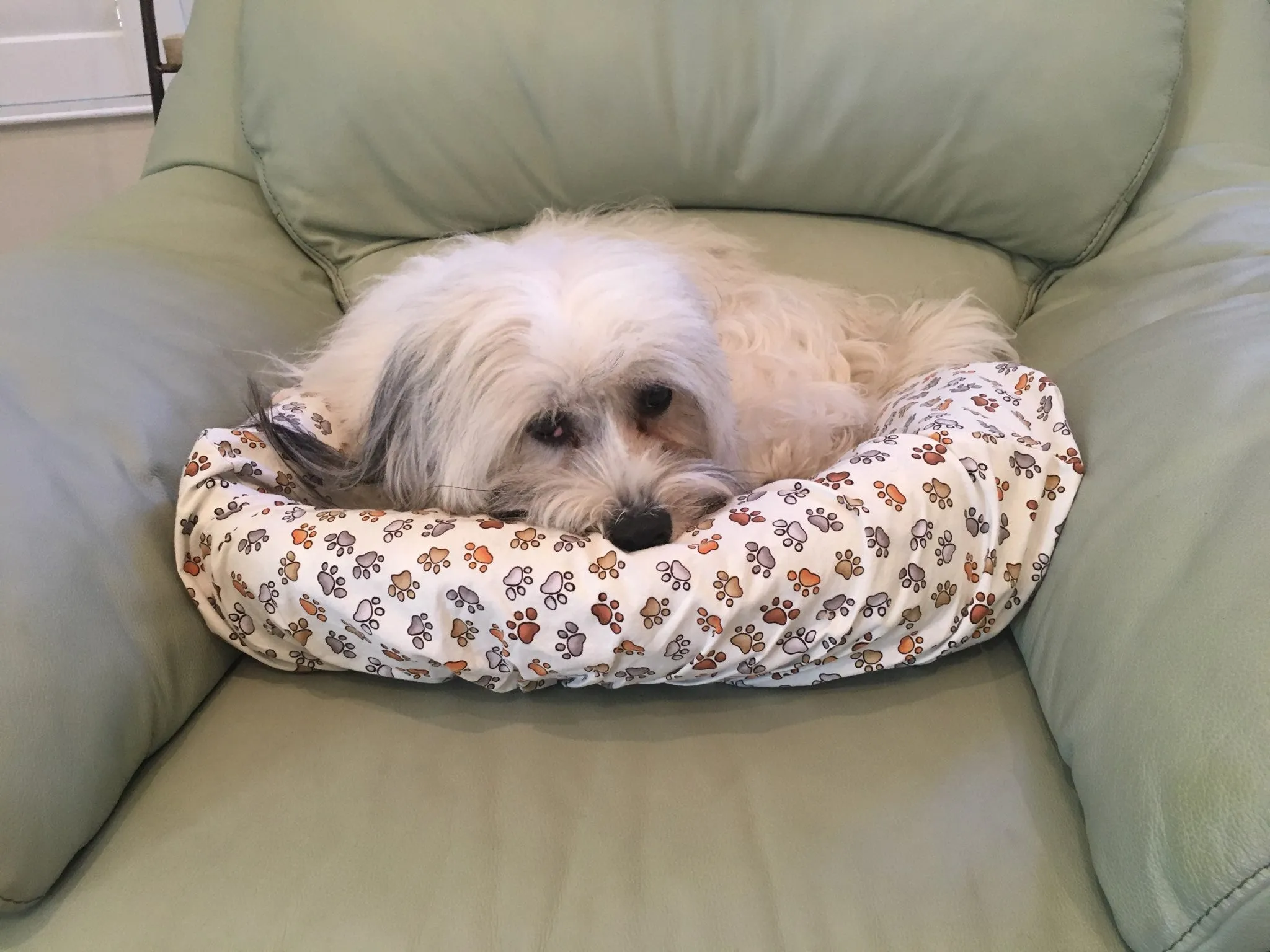 Round Pet Bed Cover - Paws Everywhere