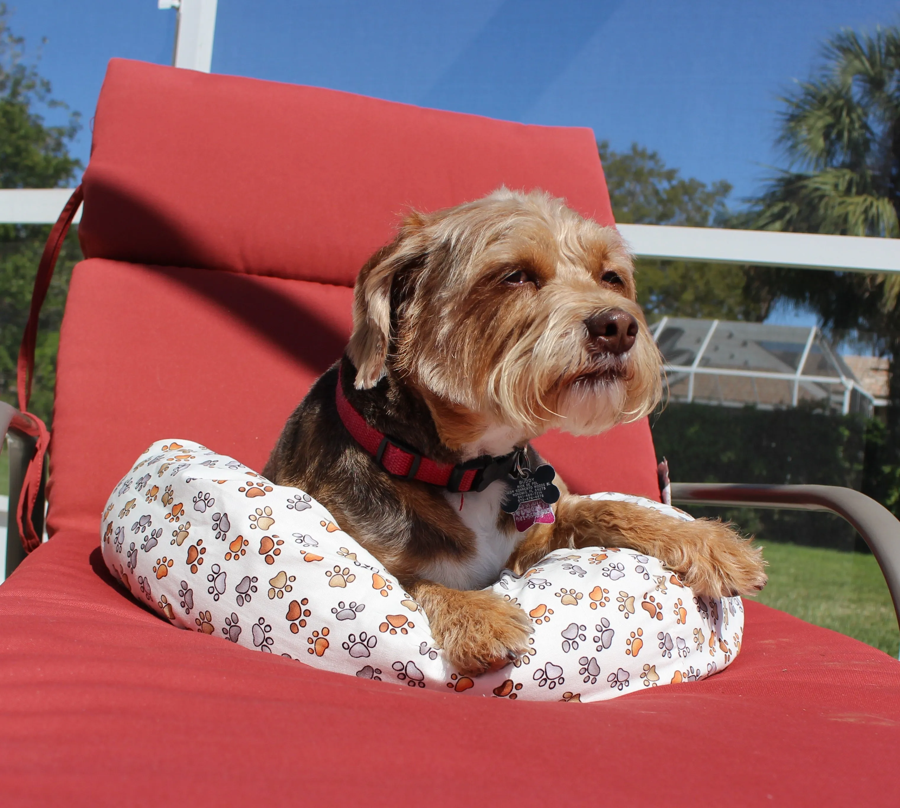 Round Pet Bed Cover - Paws Everywhere