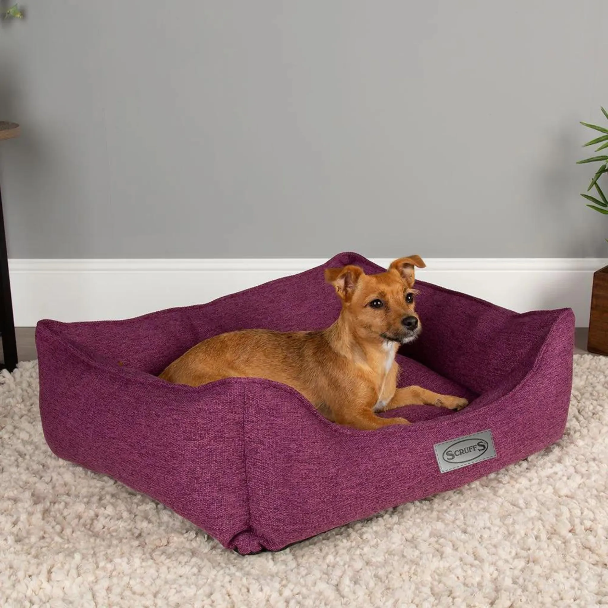 Scruffs Manhattan Box Dog Bed Fully Machine Washable Berry Purple Small & Medium